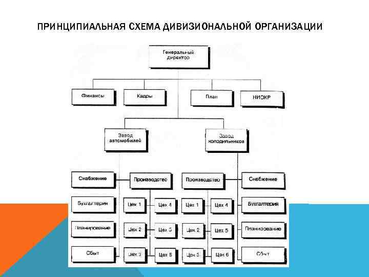 ПРИНЦИПИАЛЬНАЯ СХЕМА ДИВИЗИОНАЛЬНОЙ ОРГАНИЗАЦИИ 