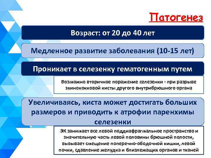 Патогенез Возраст: от 20 до 40 лет Медленное развитие заболевания (10 -15 лет) Проникает