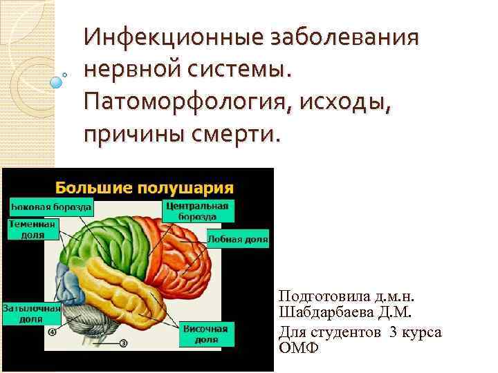 Инфекционные заболевания нервной системы презентация