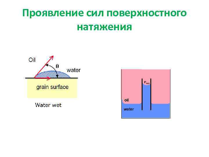 Проявление сил поверхностного натяжения 