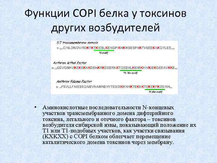 Функции СОРI белка у токсинов других возбудителей • Аминокислотные последовательности N-концевых участков трансмембранного домена