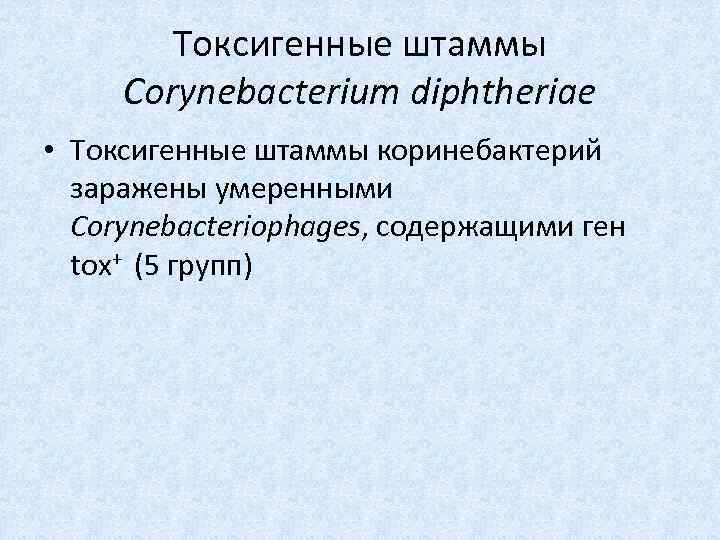 Токсигенные штаммы Corynebacterium diphtheriae • Токсигенные штаммы коринебактерий заражены умеренными Corynebacteriophages, содержащими ген tox+