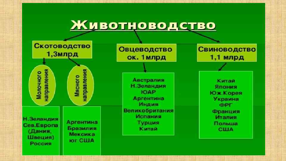 География сельского хозяйства и рыболовства презентация