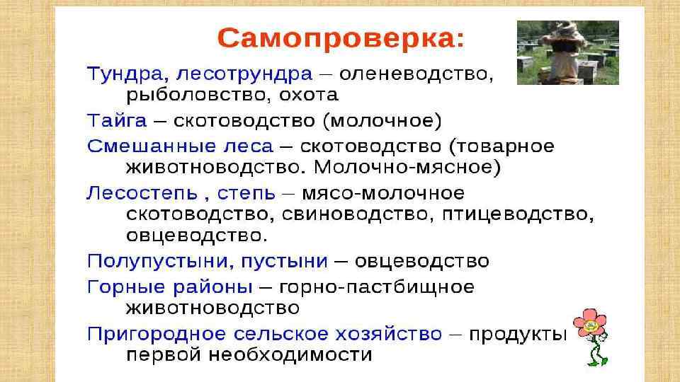 География 10 презентация география сельского хозяйства и рыболовства 10 класс