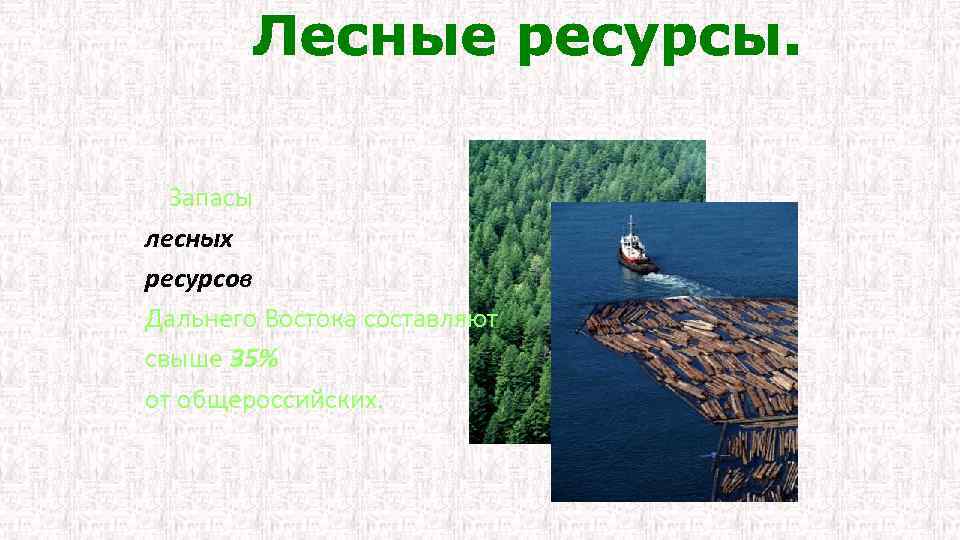 Запасы лесных ресурсов Дальнего Востока составляют свыше 35% от общероссийских. 