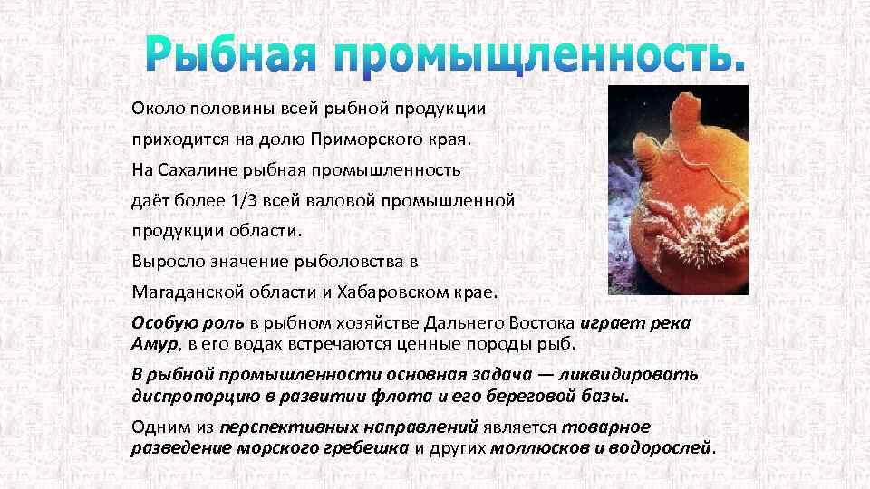 Около половины всей рыбной продукции приходится на долю Приморского края. На Сахалине рыбная промышленность