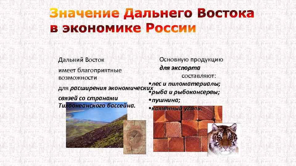 Основную продукцию Дальний Восток для экспорта имеет благоприятные составляют: возможности • лес и пиломатериалы;