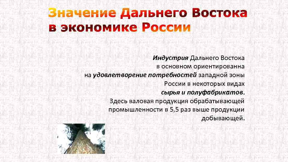 Индустрия Дальнего Востока в основном ориентированна на удовлетворение потребностей западной зоны России в некоторых