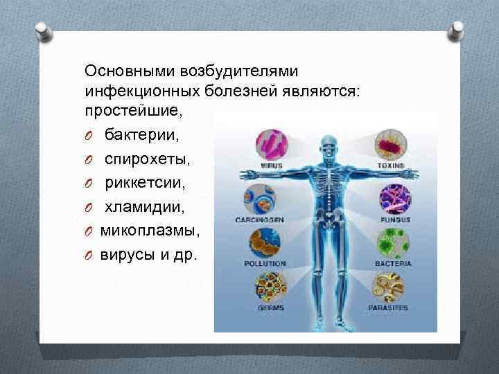Основными возбудителями инфекционных болезней являются: простейшие, O бактерии, O спирохеты, O риккетсии, O хламидии,