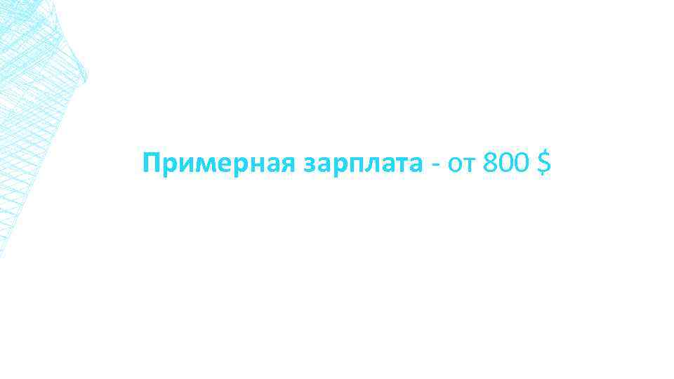 Примерная зарплата - от 800 $ 
