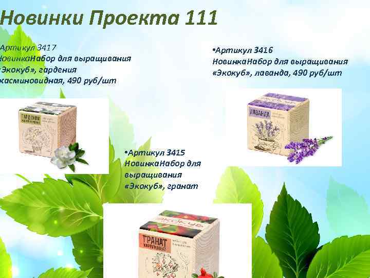 Новинки Проекта 111 Артикул 3417 Новинка. Набор для выращивания «Экокуб» , гардения жасминовидная, 490