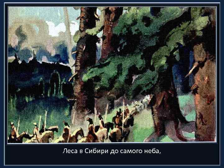 Леса в Сибири до самого неба, 