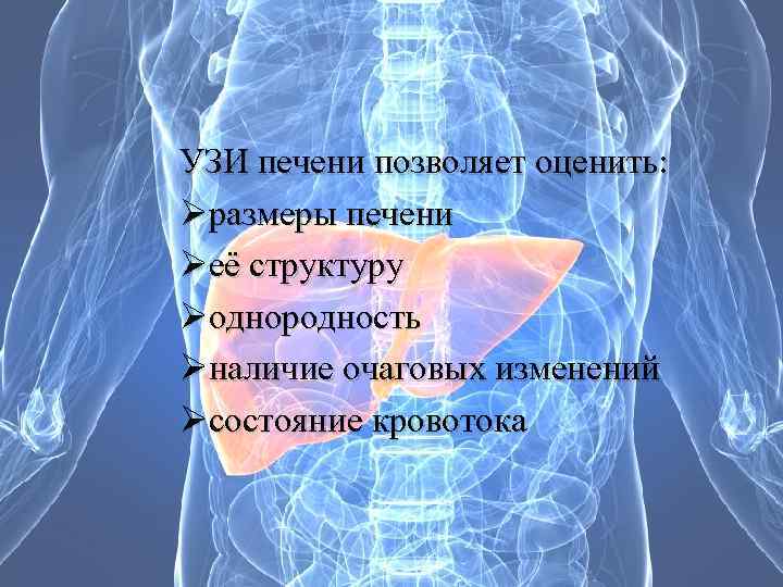 УЗИ печени позволяет оценить: Øразмеры печени Øеё структуру Øоднородность Øналичие очаговых изменений Øсостояние кровотока