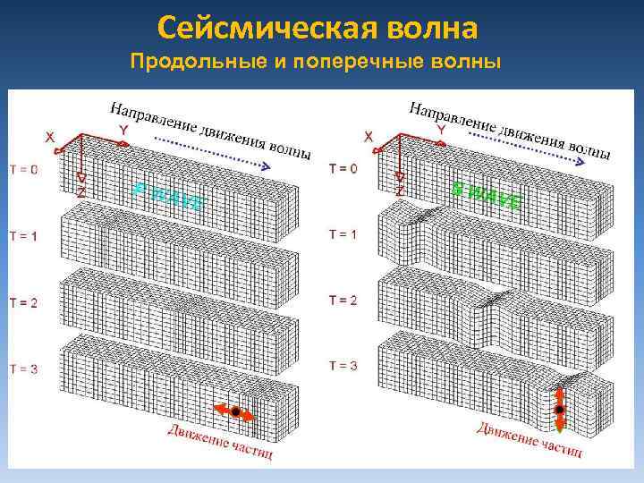 Сейсмическая волна Продольные и поперечные волны 