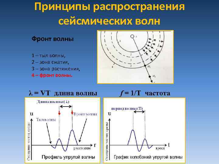 Принципы распространения сейсмических волн Фронт волны 1 – тыл волны, 2 – зона сжатия,