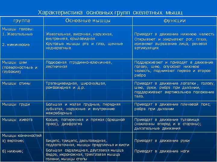 Характеристика основных групп скелетных мышц группа Мышцы головы: 1. Жевательные Основные мышцы функции Жевательная,