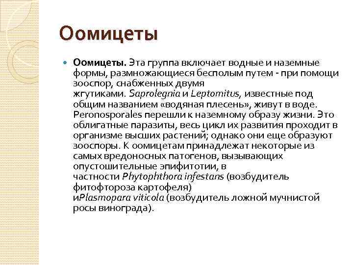 Оомицеты Оомицеты. Эта группа включает водные и наземные формы, размножающиеся бесполым путем при помощи