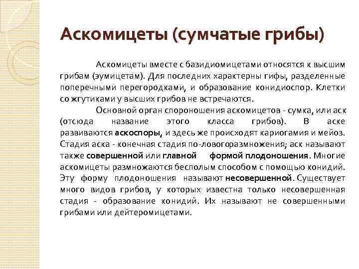 Аскомицеты (сумчатые грибы) Аскомицеты вместе с базидиомицетами относятся к высшим грибам (эумицетам). Для последних