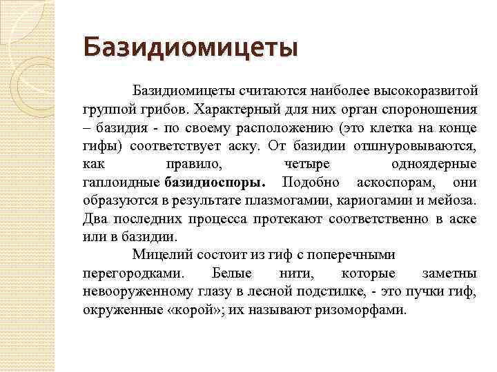 Базидиомицеты считаются наиболее высокоразвитой группой грибов. Характерный для них орган спороношения – базидия по