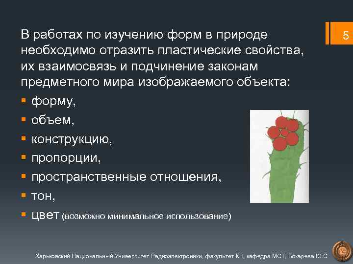 В работах по изучению форм в природе необходимо отразить пластические свойства, их взаимосвязь и