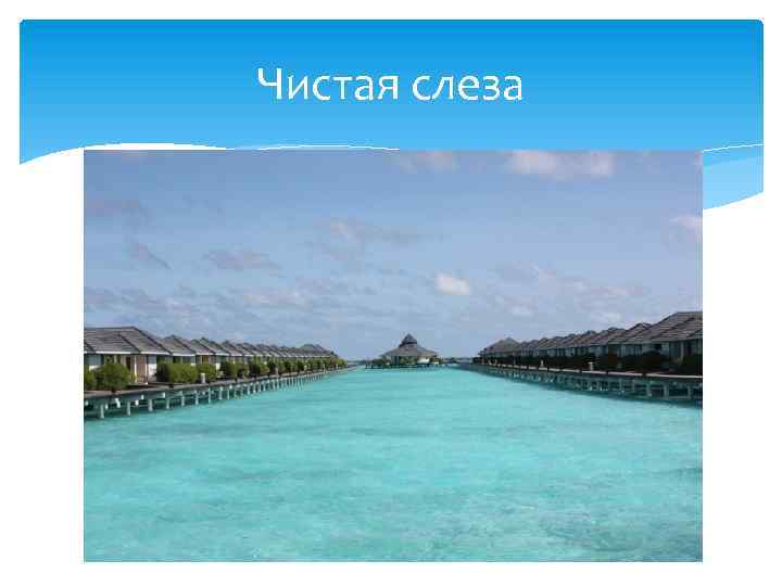 Чистая слеза 