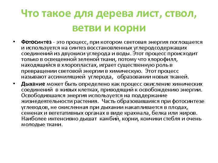 Что такое для дерева лист, ствол, ветви и корни • Фотосинтез - это процесс,