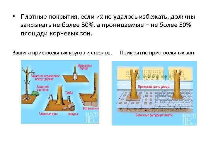  • Плотные покрытия, если их не удалось избежать, должны закрывать не более 30%,