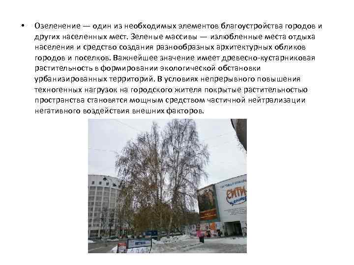  • Озеленение — один из необходимых элементов благоустройства городов и других населенных мест.