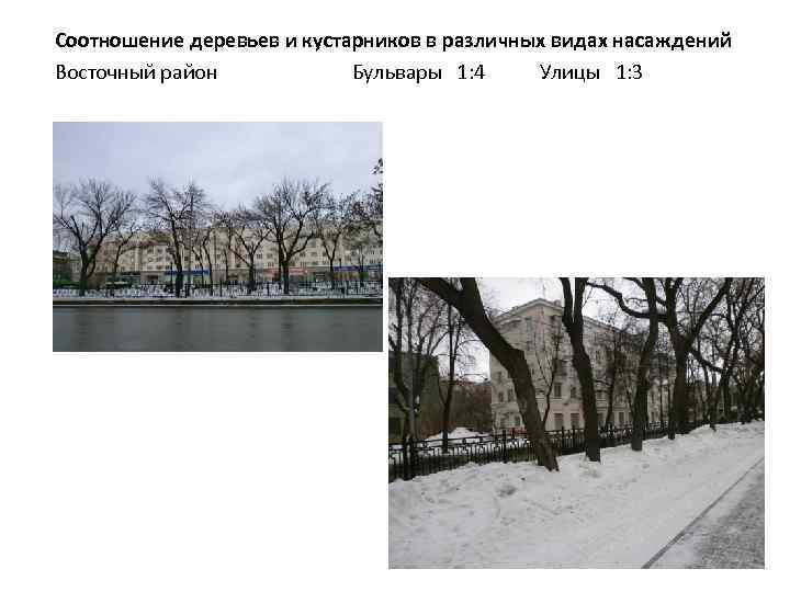 Соотношение деревьев и кустарников в различных видах насаждений Восточный район Бульвары 1: 4 Улицы