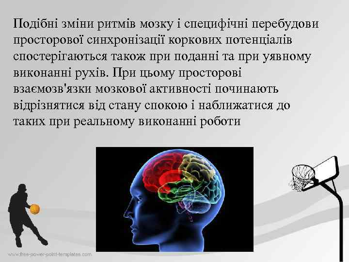 Подібні зміни ритмів мозку і специфічні перебудови просторової синхронізації коркових потенціалів спостерігаються також при