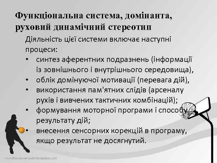 Функціональна система, домінанта, руховий динамічний стереотип Діяльність цієї системи включає наступні процеси: • синтез