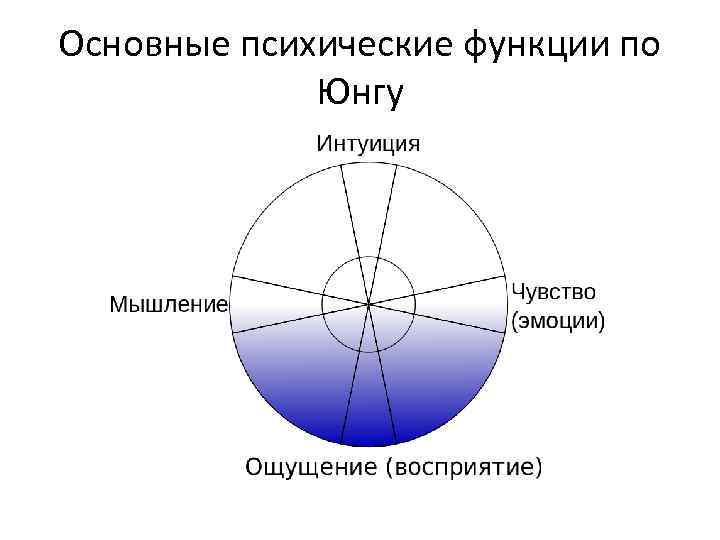 Основные психические функции по Юнгу 