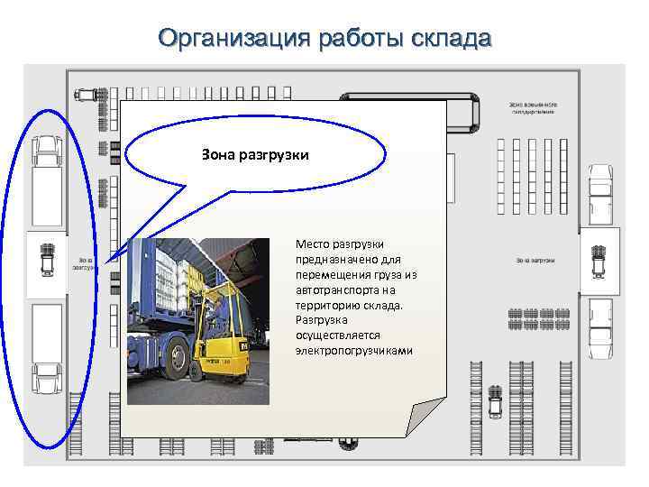 Организация работы склада Зона разгрузки Место разгрузки предназначено для перемещения груза из автотранспорта на