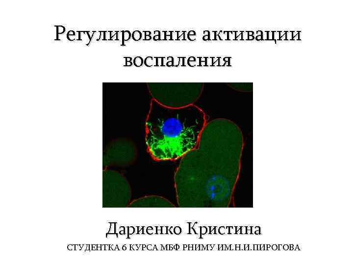 Регулирование активации воспаления ДОКЛАДЧИК Дариенко Кристина СТУДЕНТКА 6 КУРСА МБФ РНИМУ ИМ. Н. И.