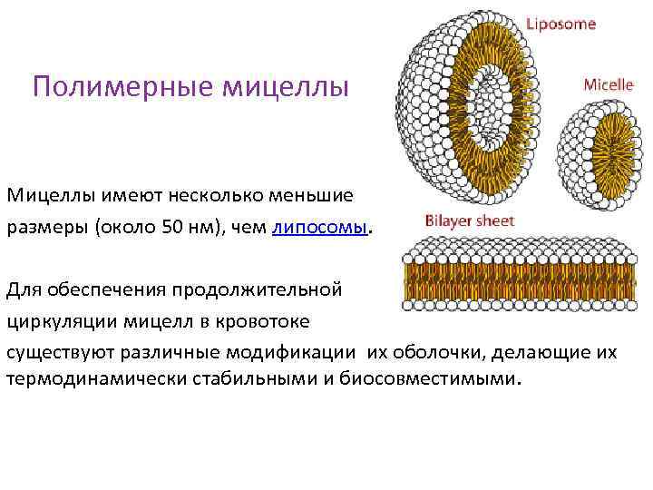 Полимерные мицеллы Мицеллы имеют несколько меньшие размеры (около 50 нм), чем липосомы. Для обеспечения