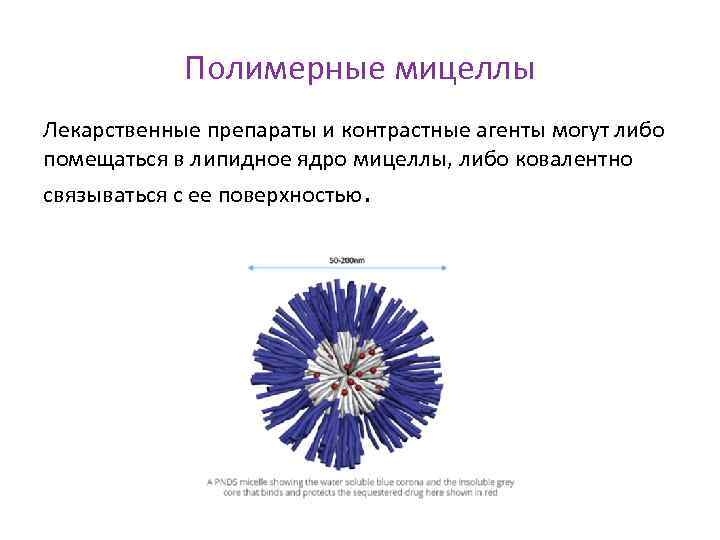 Полимерные мицеллы Лекарственные препараты и контрастные агенты могут либо помещаться в липидное ядро мицеллы,