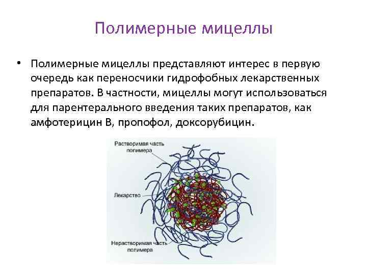 Полимерные мицеллы • Полимерные мицеллы представляют интерес в первую очередь как переносчики гидрофобных лекарственных