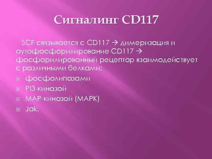 Сигналинг CD 117 SCF связывается с CD 117 димеризация и аутофосфорилирование CD 117 фосфорилированный