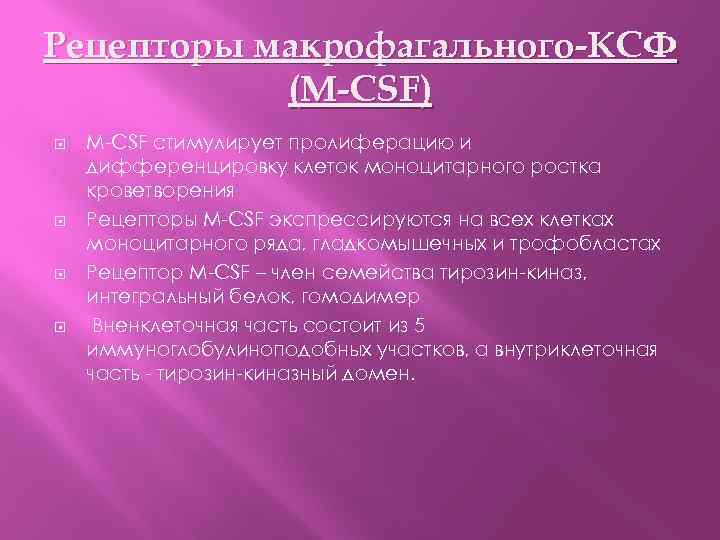 Рецепторы макрофагального-КСФ (M-CSF) M-CSF стимулирует пролиферацию и дифференцировку клеток моноцитарного ростка кроветворения Рецепторы M-CSF