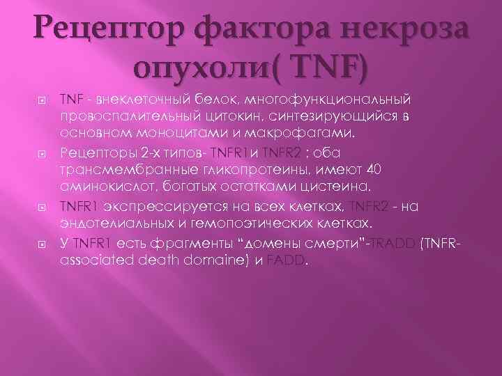 Рецептор фактора некроза опухоли( TNF) TNF - внеклеточный белок, многофункциональный провоспалительный цитокин, синтезирующийся в