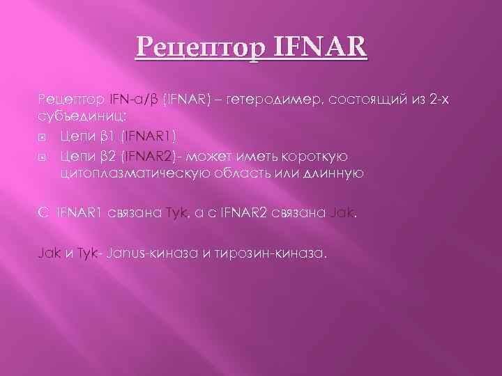 Рецептор IFNAR Рецептор IFN-α/β (IFNAR) – гетеродимер, состоящий из 2 -х субъединиц: Цепи β