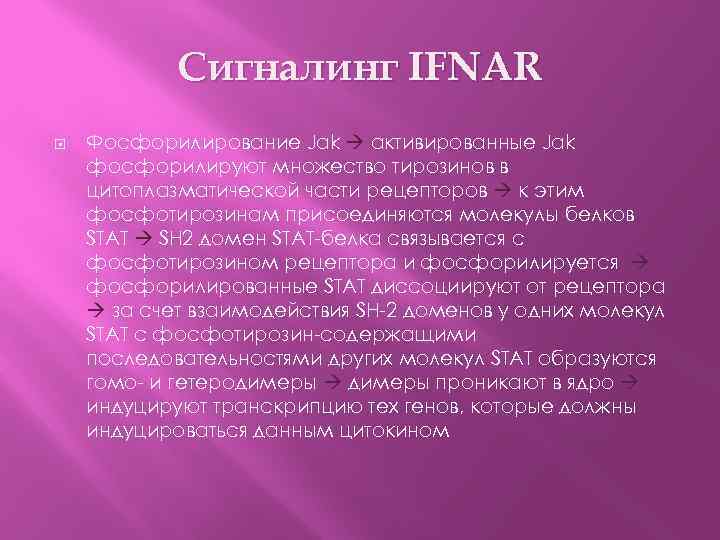 Сигналинг IFNAR Фосфорилирование Jak активированные Jak фосфорилируют множество тирозинов в цитоплазматической части рецепторов к