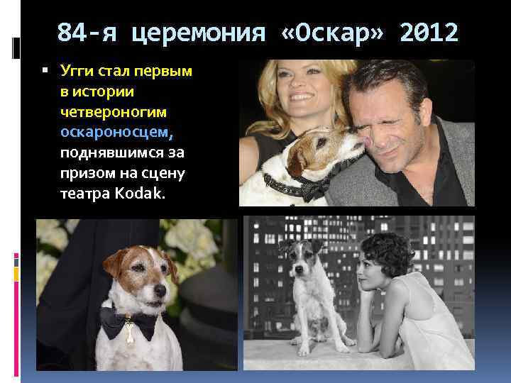 84 -я церемония «Оскар» 2012 Угги стал первым в истории четвероногим оскароносцем, поднявшимся за