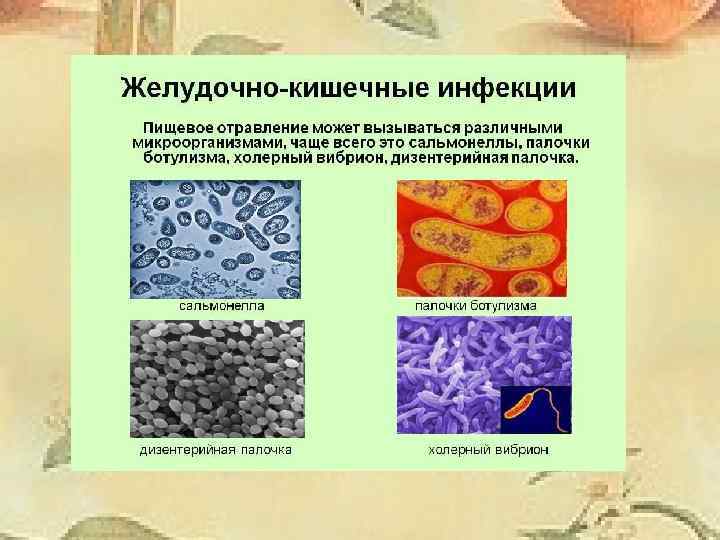 Профилактика пищевых отравлений кишечных инфекций гепатита