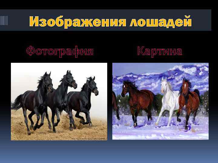 Изображения лошадей Фотография Картина 