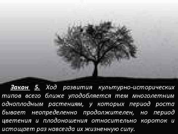 Закон 5. Ход развития культурно-исторических типов всего ближе уподобляется тем многолетним одноплодным растениям, у