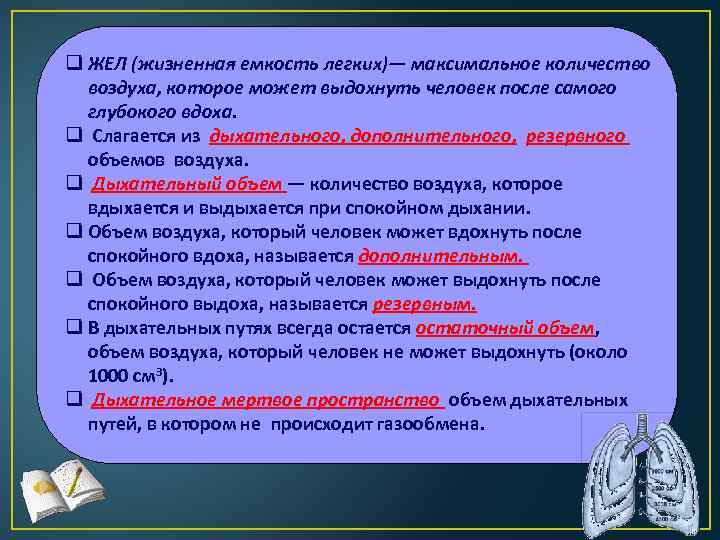 q ЖЕЛ (жизненная емкость легких)— максимальное количество воздуха, которое может выдохнуть человек после самого