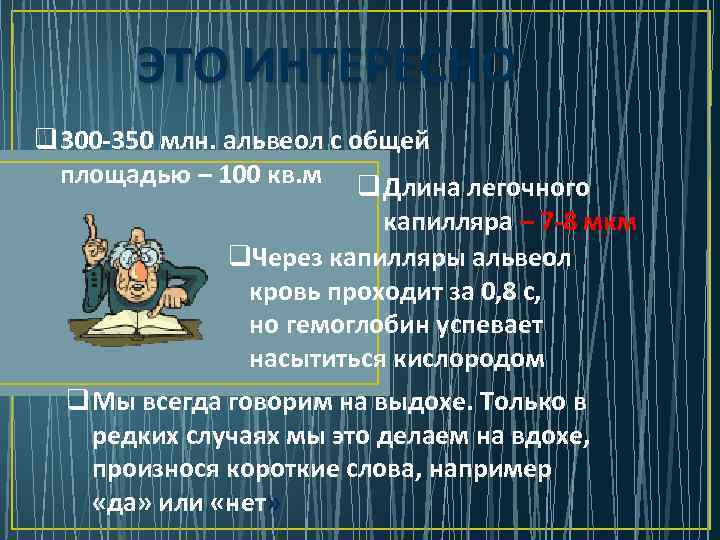 ЭТО ИНТЕРЕСНО q 300 -350 млн. альвеол с общей площадью – 100 кв. м