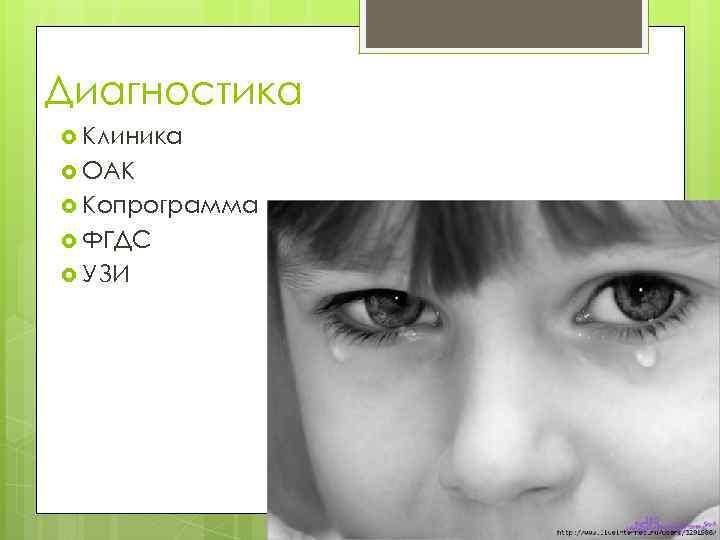 Диагностика Клиника ОАК Копрограмма ФГДС УЗИ 