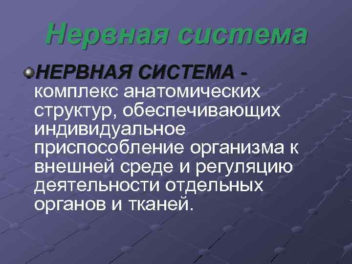 Нервная система НЕРВНАЯ СИСТЕМА комплекс анатомических структур, обеспечивающих индивидуальное приспособление организма к внешней среде